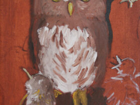 Northern Pygmy Owl