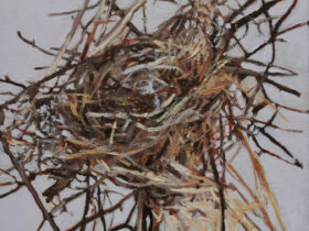 Bird’s Nest 1