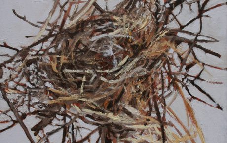 Bird’s Nest 1