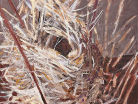 Bird’s Nest in Reeds