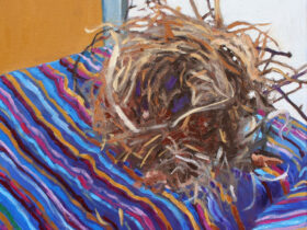 Birds Nest, Stripes