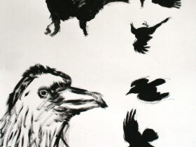 Crow Studies