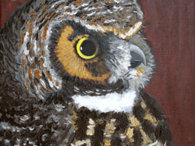 Great Horned Owl