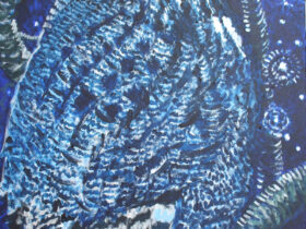 Under the Boreal Sky: The Great Gray Owl