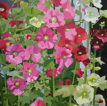 Hollyhocks