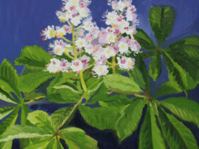 Horse Chestnut Blossoms