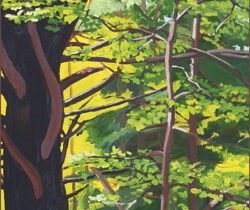 Island Forest, Early Fall