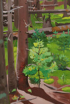 Joyous Young Pine