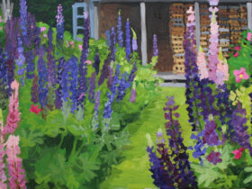 June, Lupines