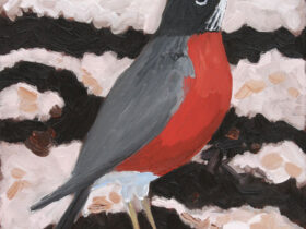 Robin Garden