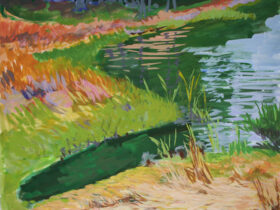 Salt Marsh, Shorebird Habitat