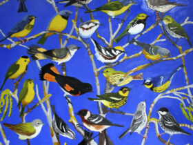 Spring Warblers
