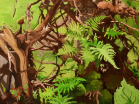 Winter Wren in Wild Garden
