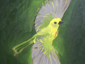 Yellow Warbler in Flight