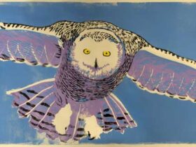 Intimate Wilderness: Birds and their Habitats