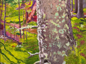 Summer, Fall, Winter, Spring: Seasons of a Maine Island