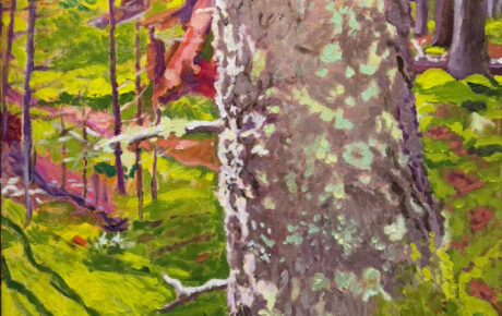 Summer, Fall, Winter, Spring: Seasons of a Maine Island