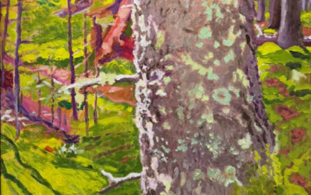 Summer, Fall, Winter, Spring: Seasons of a Maine Island